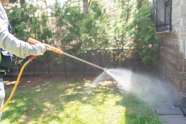 Best Termite Control Services  in Albany, CA