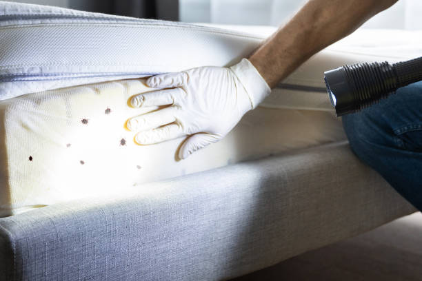 Best Wildlife Control Services  in Albany, CA