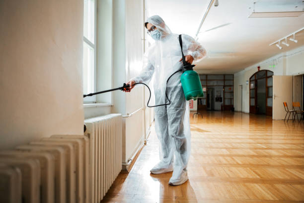 Best Pest Control for Businesses  in Albany, CA