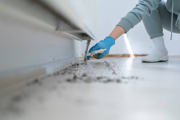 Best Pest Prevention Services  in Albany, CA