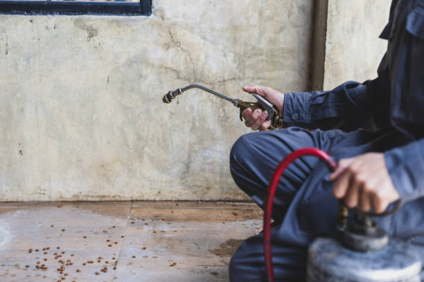 Best Pest Removal Services  in Albany, CA